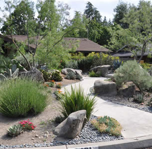 Dry Garden